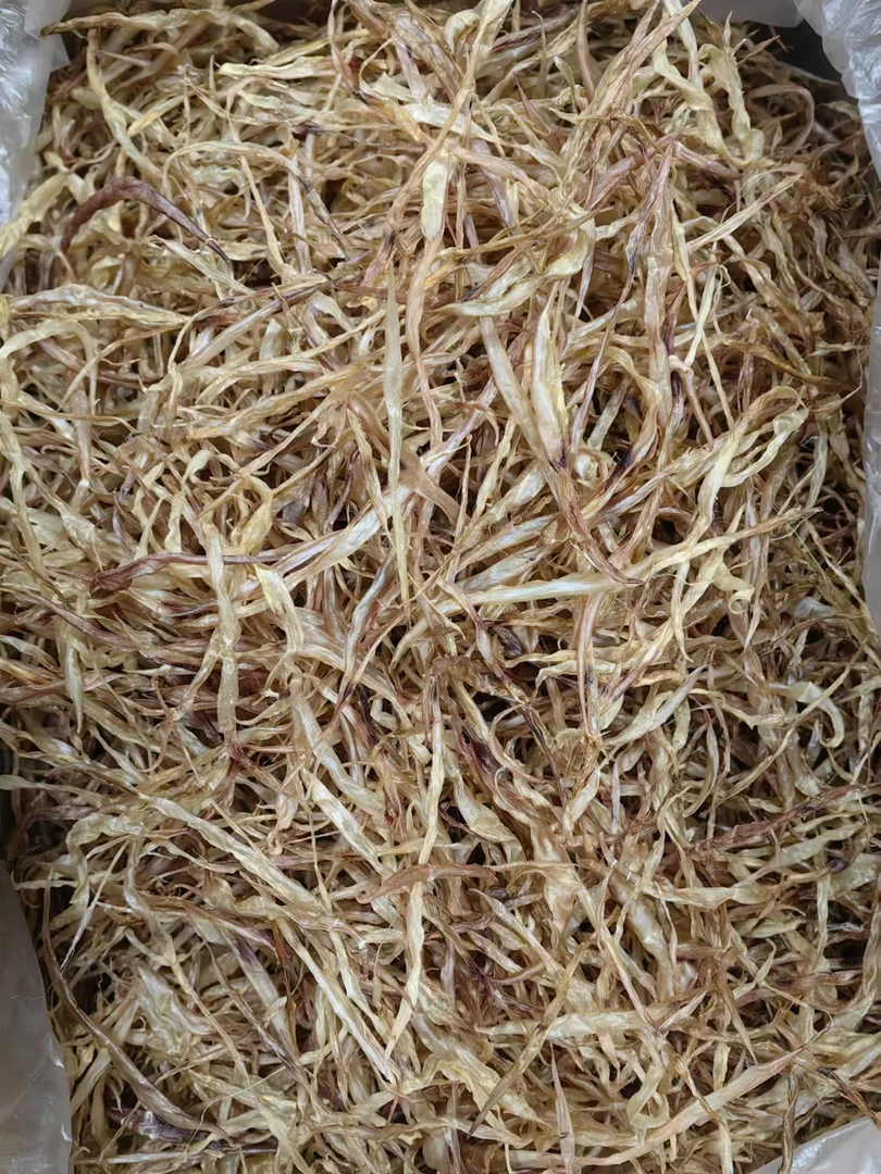 天然小鳗鱼胶，渔民自晒