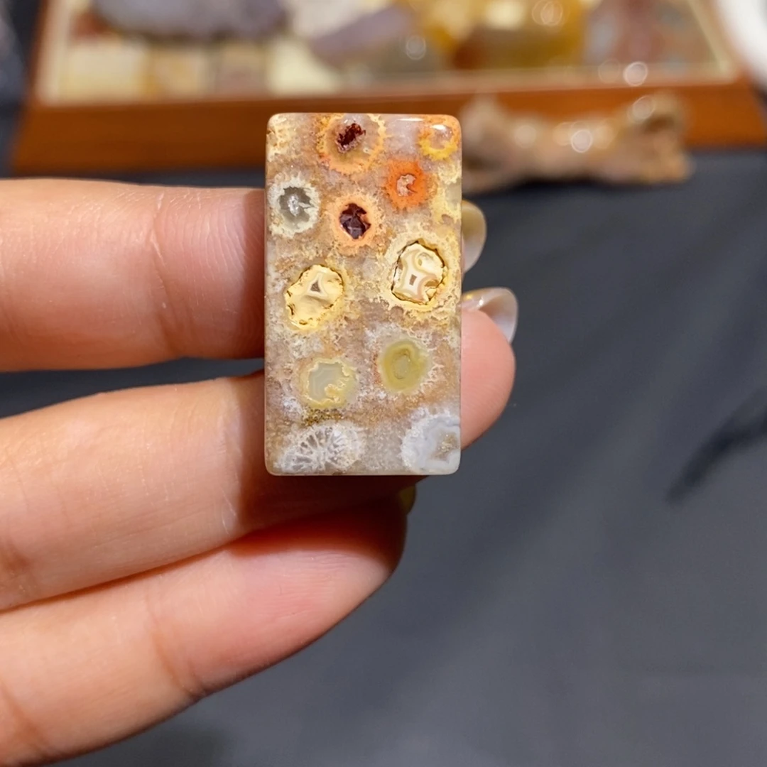 【闪购商品】未镶嵌珊瑚玉硅化玉