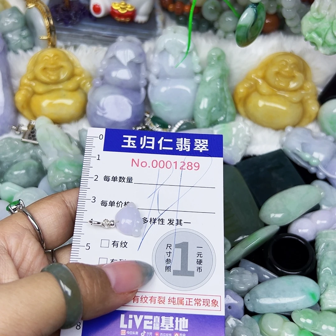 翡翠未镶嵌颈饰111