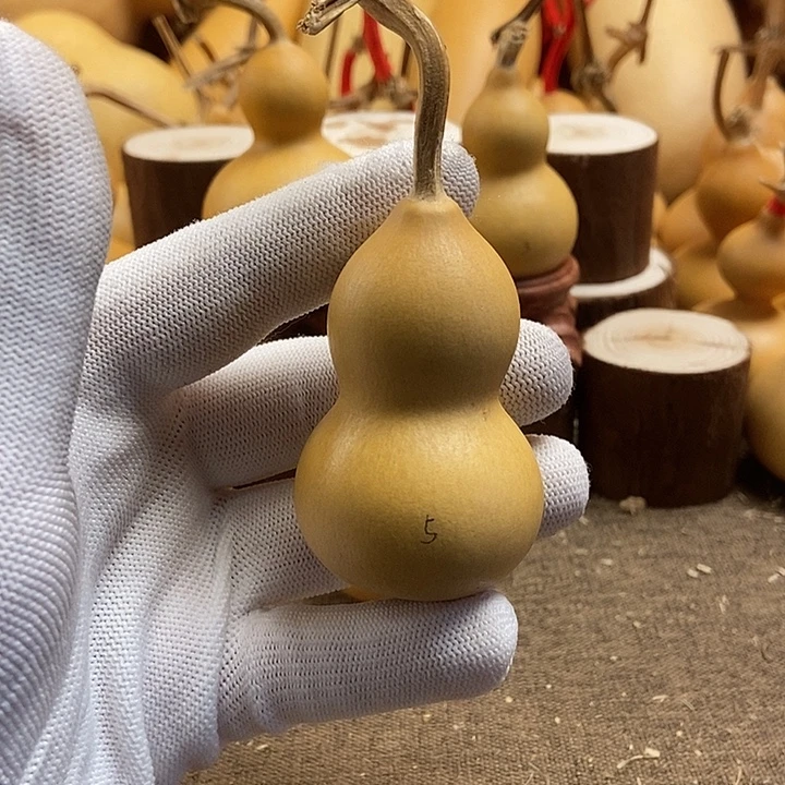 文玩葫芦 完美主义者 慎拍5