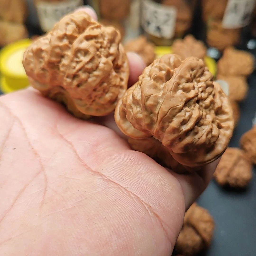 加***贺文玩核桃把件蛤蟆头