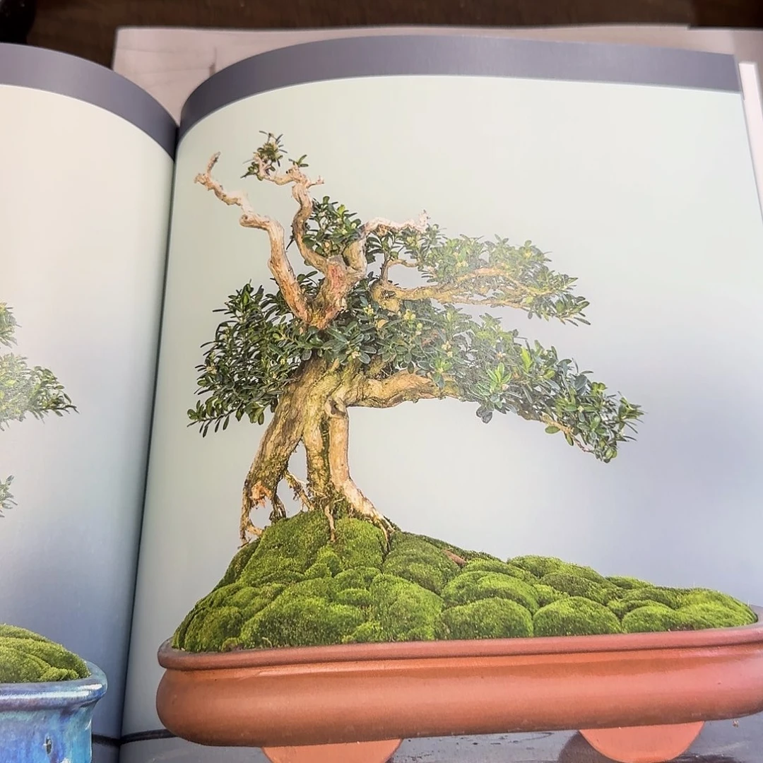 红陶尚****茶g h h h h h h b h