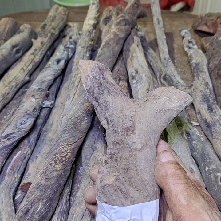 田***卍火琉璃原杈不保沉水慎拍！