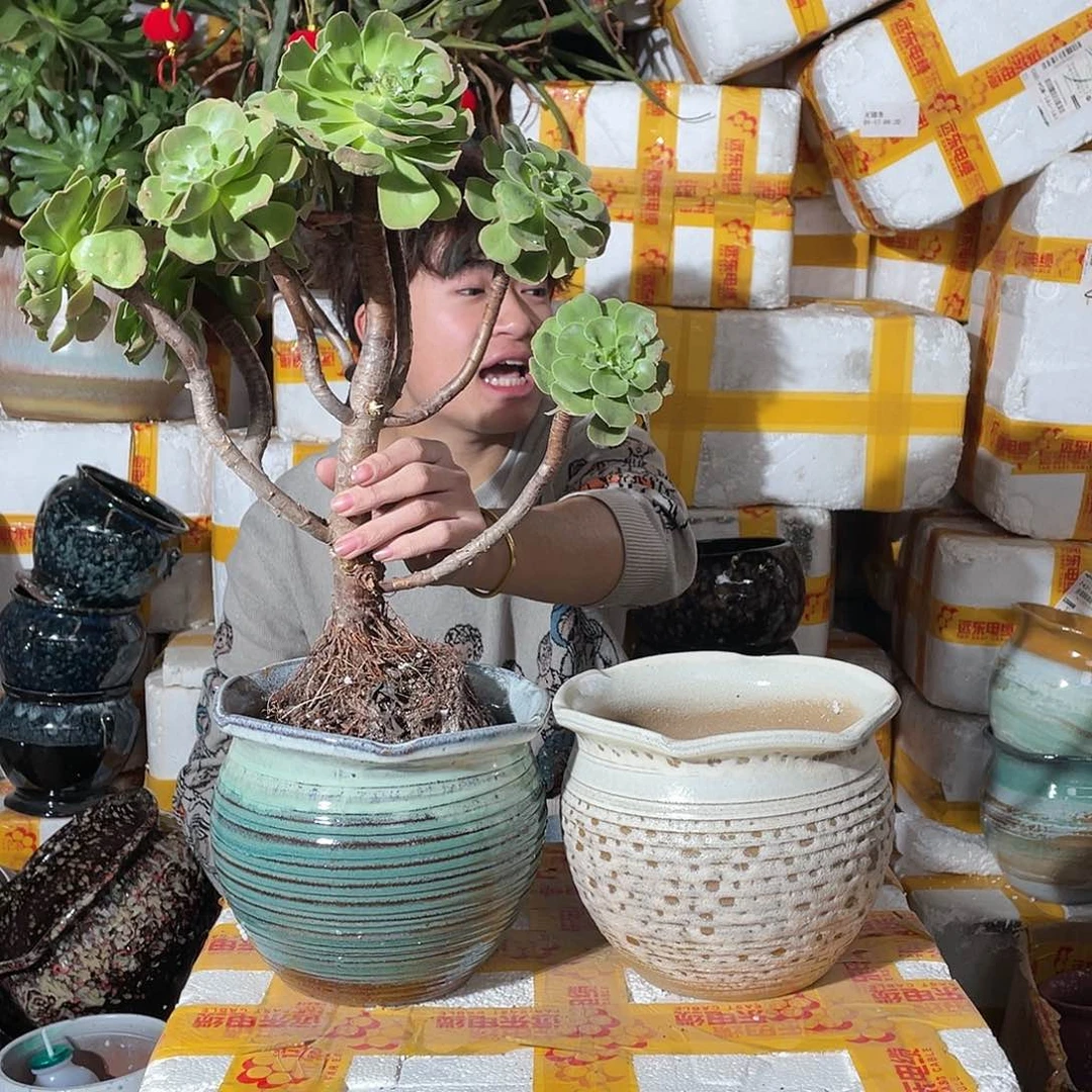 无铅玻璃宜兴紫砂花盆