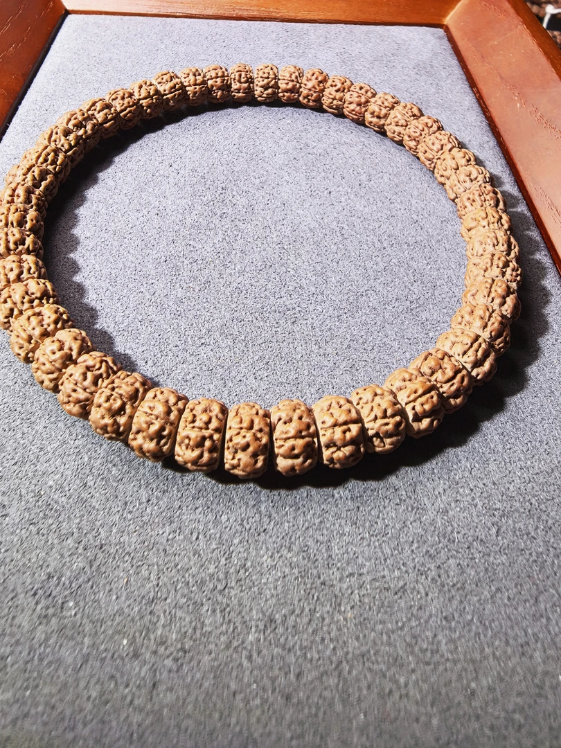 印尼小金刚盘龙龙切