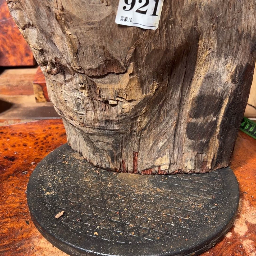 大果紫檀（缅甸花梨）
