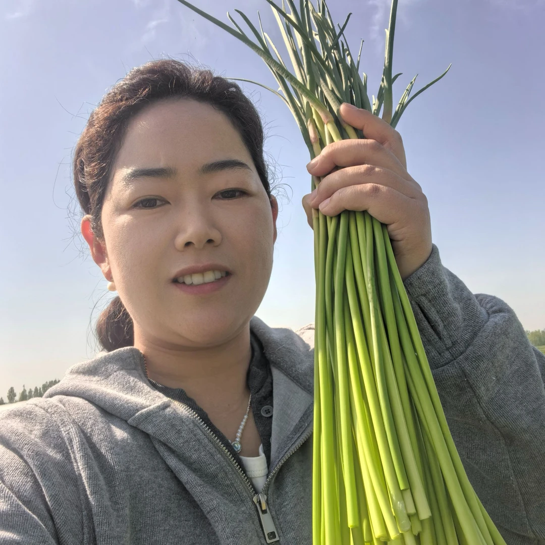 【现摘现发】河南开封新鲜蒜苔嫩蒜苔应季蔬菜红帽蒜苔新鲜蒜苔