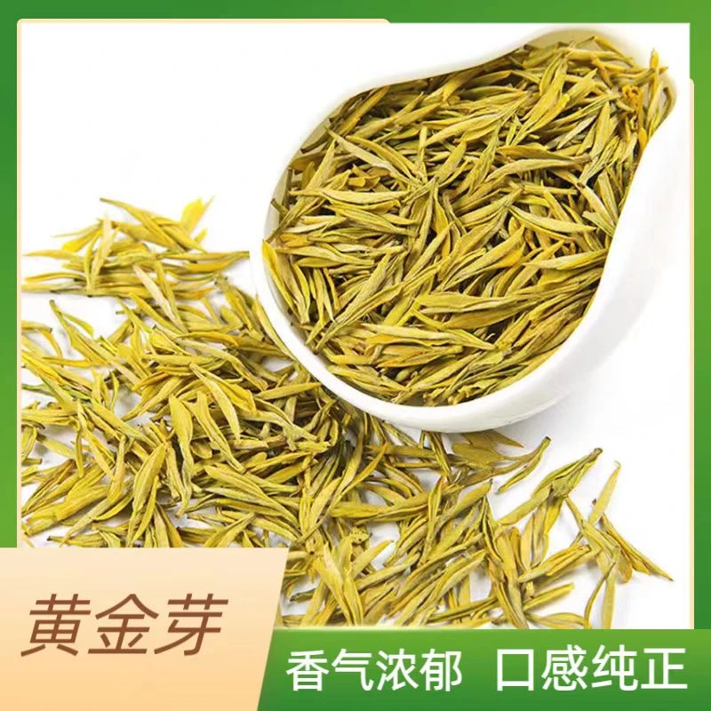 【小伟推荐】新茶黄金芽茶叶2024
