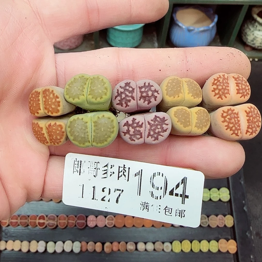 满满18包邮1127-194