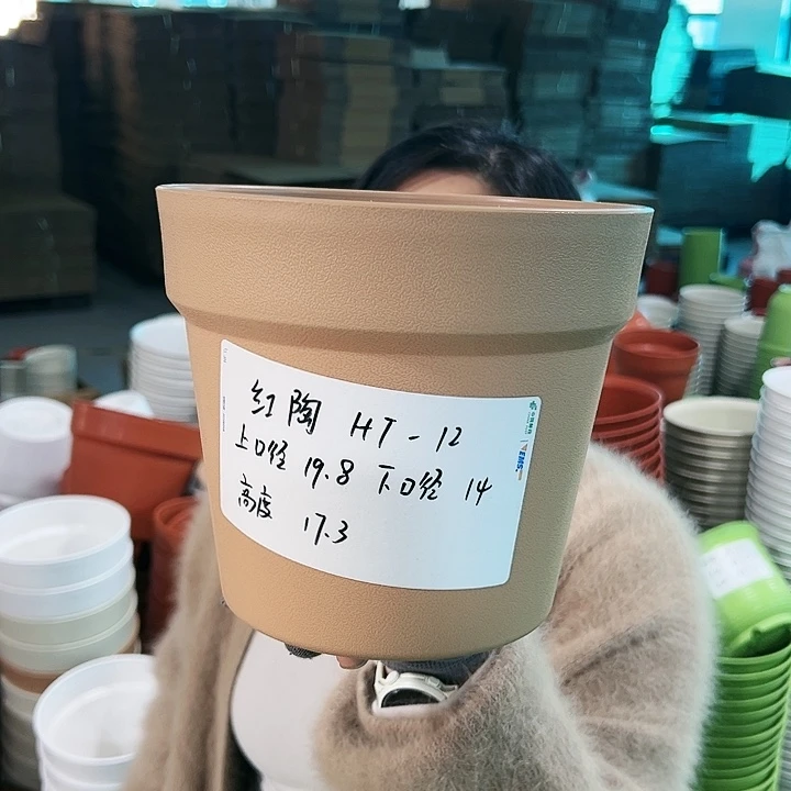 正品红陶口19.8高17卡其色无托6只