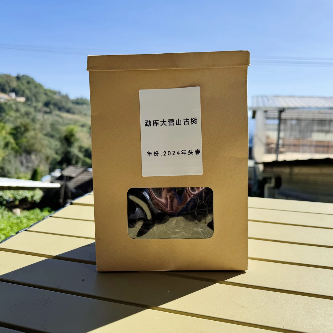 【2024年临沧茶区】大雪山春茶古树一号地200克散茶 普洱茶生茶