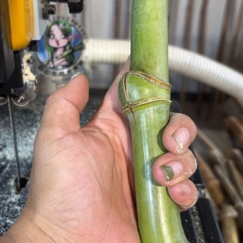 不***星实心竹竹竹竹竹竹竹竹竹竹竹竹