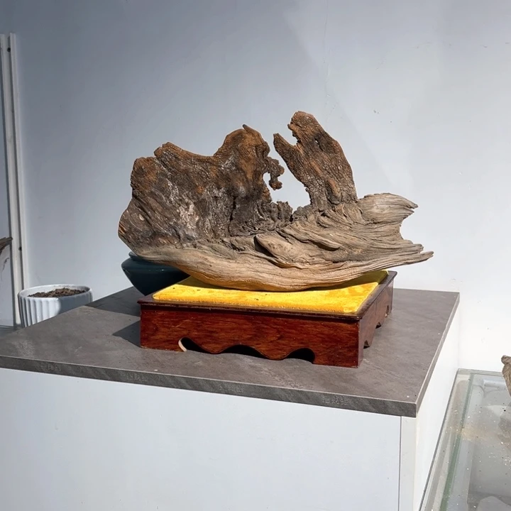 合***祥柏木崖柏等自然景和人文环境为