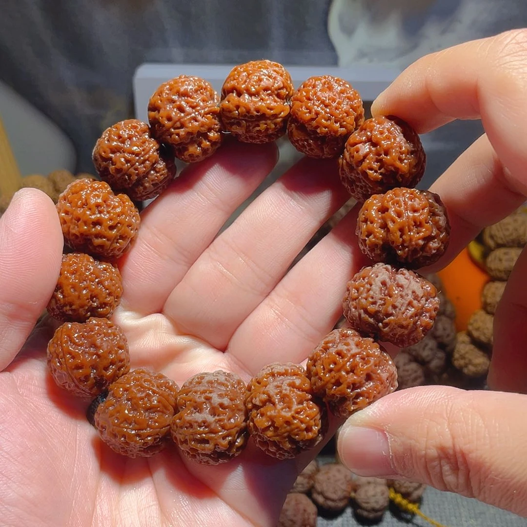 手串金刚菩提23/24五星蜂王