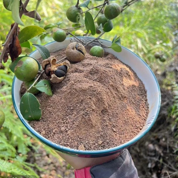 湖南农家正宗头道茶麸粉 2斤 茶麸粉家用洗头洗碗泡脚绿色无添加