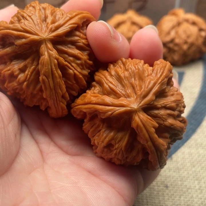 包****核桃白狮子43核桃