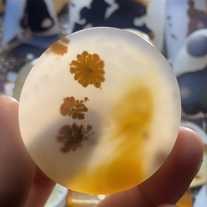未镶嵌颈饰玛瑙/玉髓曌****空