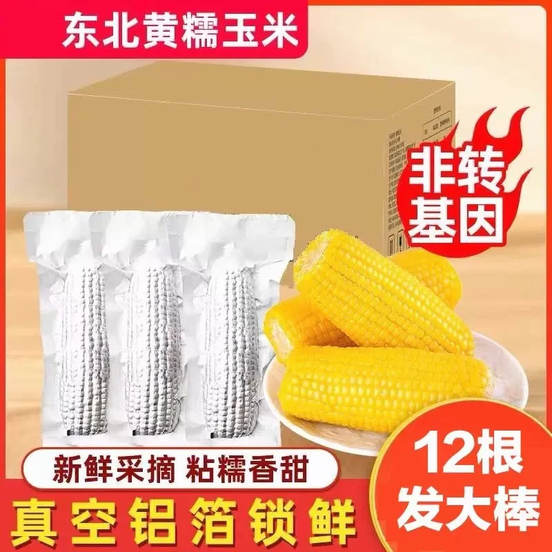 【铝箔12支】2024年头茬东北黄糯玉米粘糯香甜整箱5.5-6斤 试吃2根
