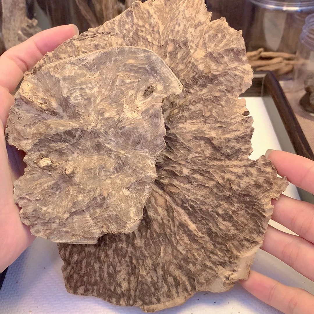深圳板头40.8克多样性发一