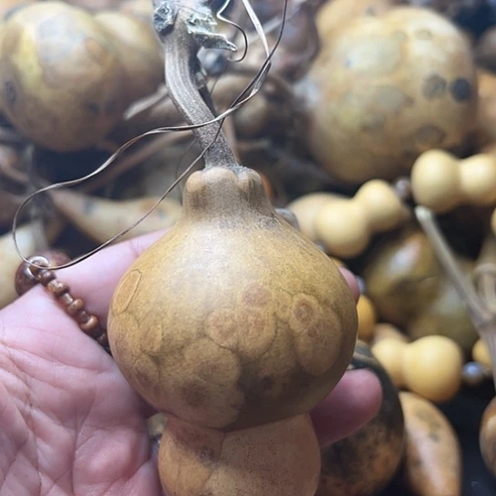 蔚**空葫芦葫芦葫芦葫芦