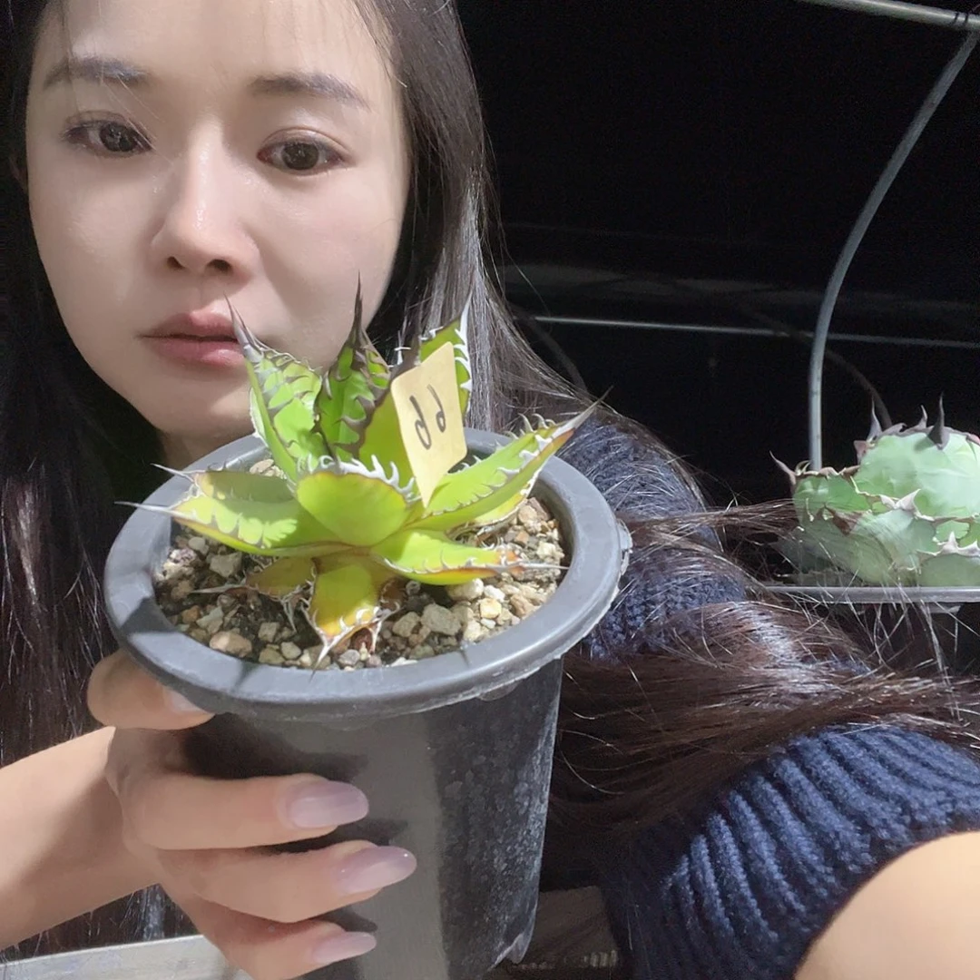 沟沟壑壑及机理及哈哈哈哈