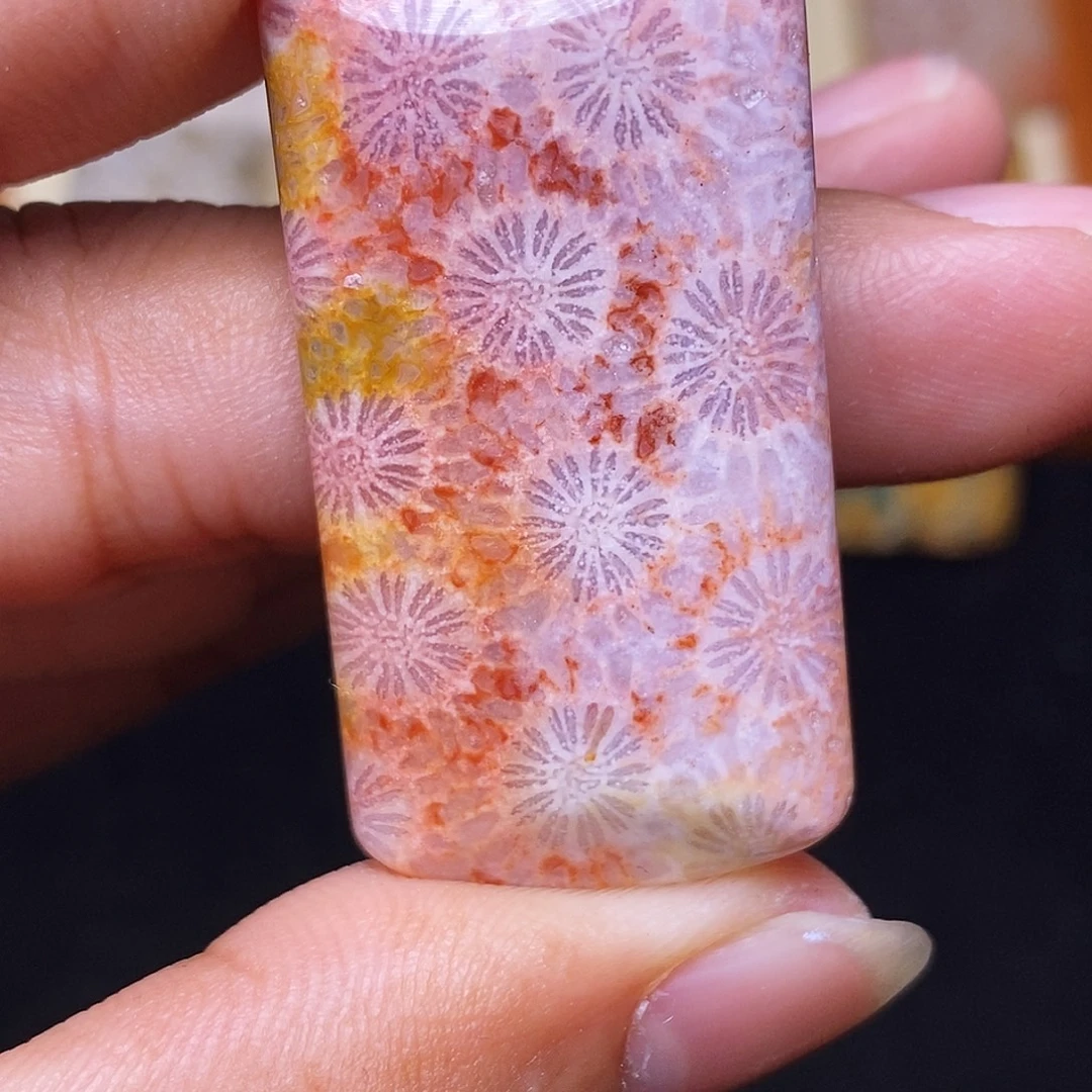 难***️硅化玉合金珊瑚玉