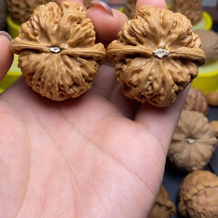 手串/手链核桃邦*粗筋