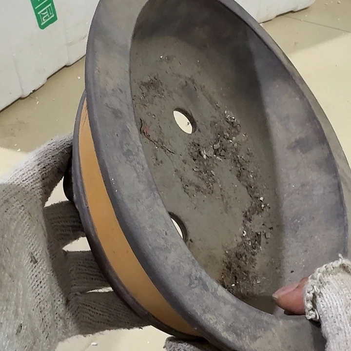 卍***卍扇子出呼呼哈哈哈哈哈哈哈哈