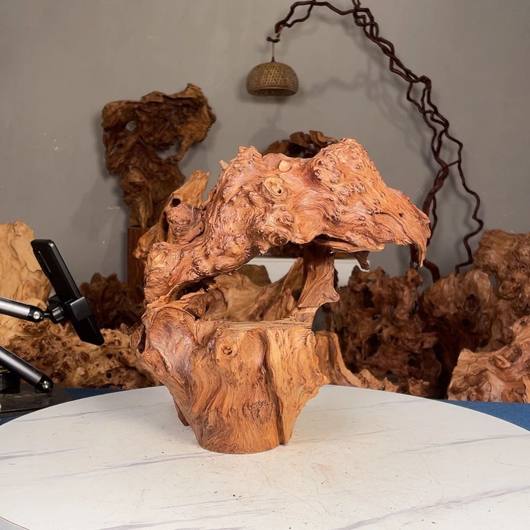 香榧木洋*洋133455677888