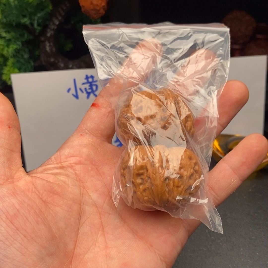 王****大叶紫檀（黑酸枝木类）