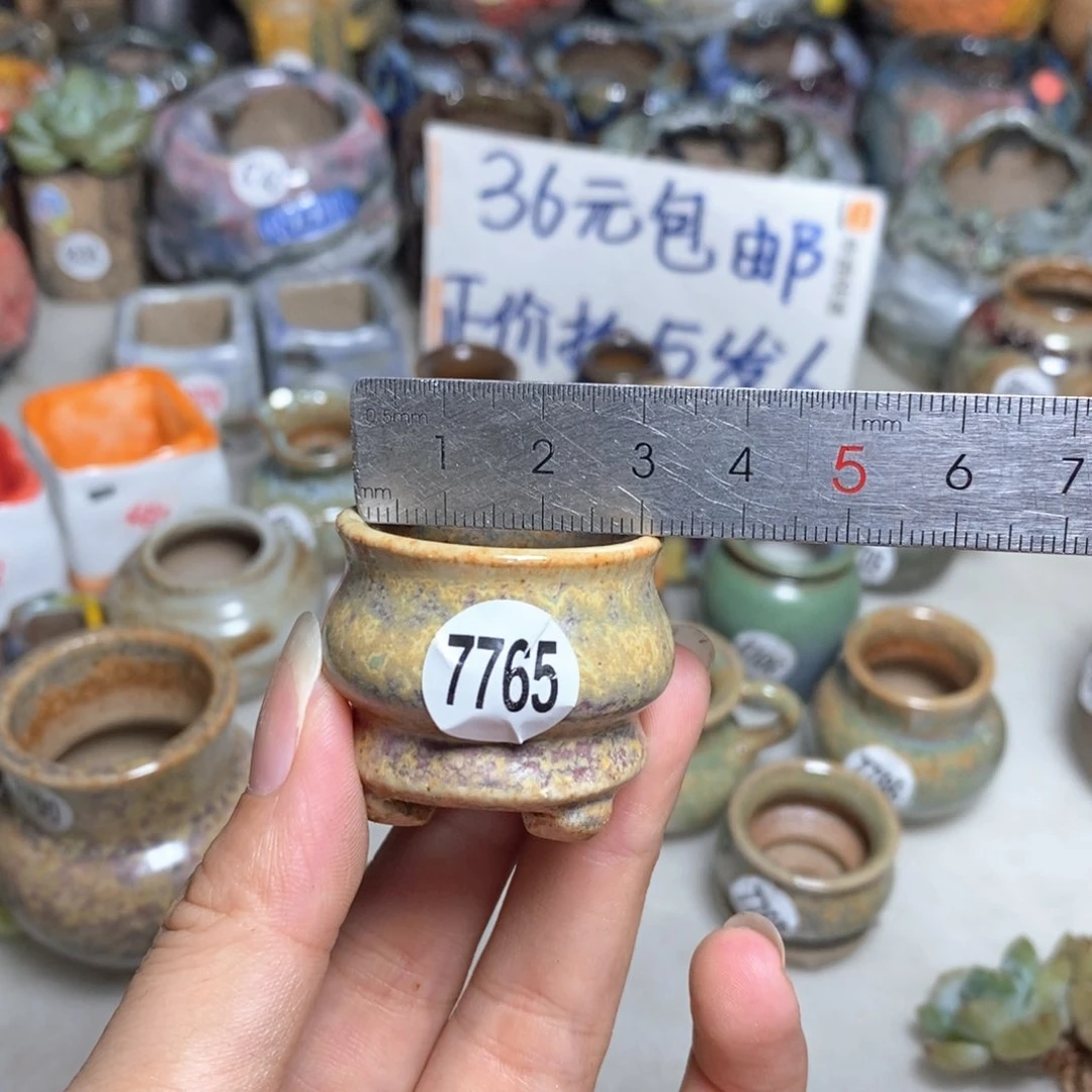 拍5送一个小礼物