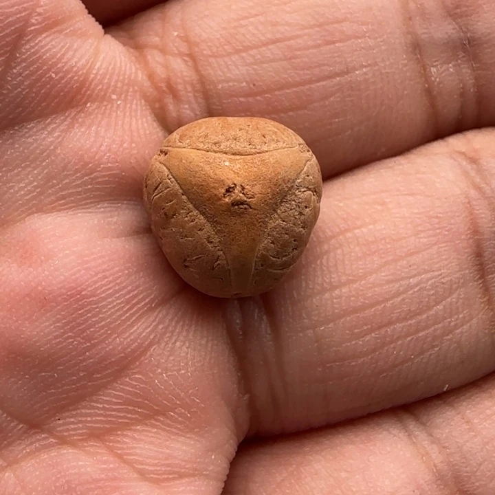 凤眼菩提吊坠实心12