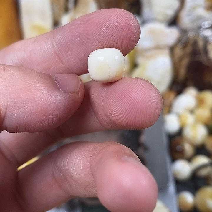 未镶嵌琥珀裸石我