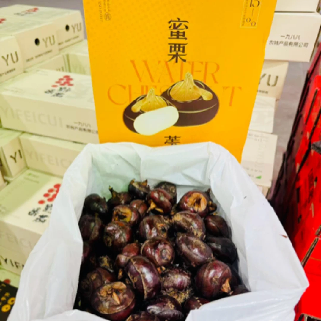 【鲜果马蹄】荸荠清甜多汁爽脆可口3斤原箱礼盒
