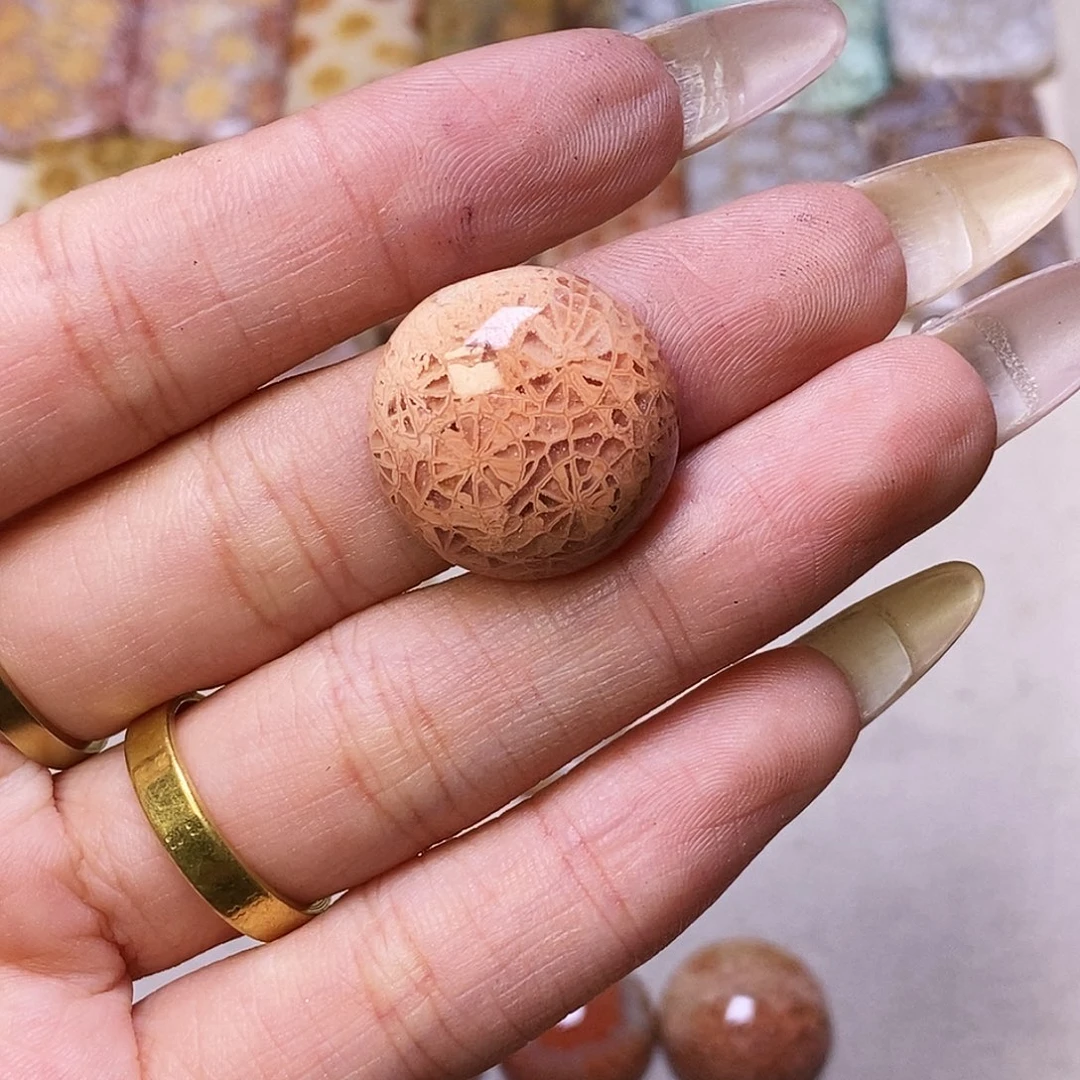 查罗石合金颈饰仙*