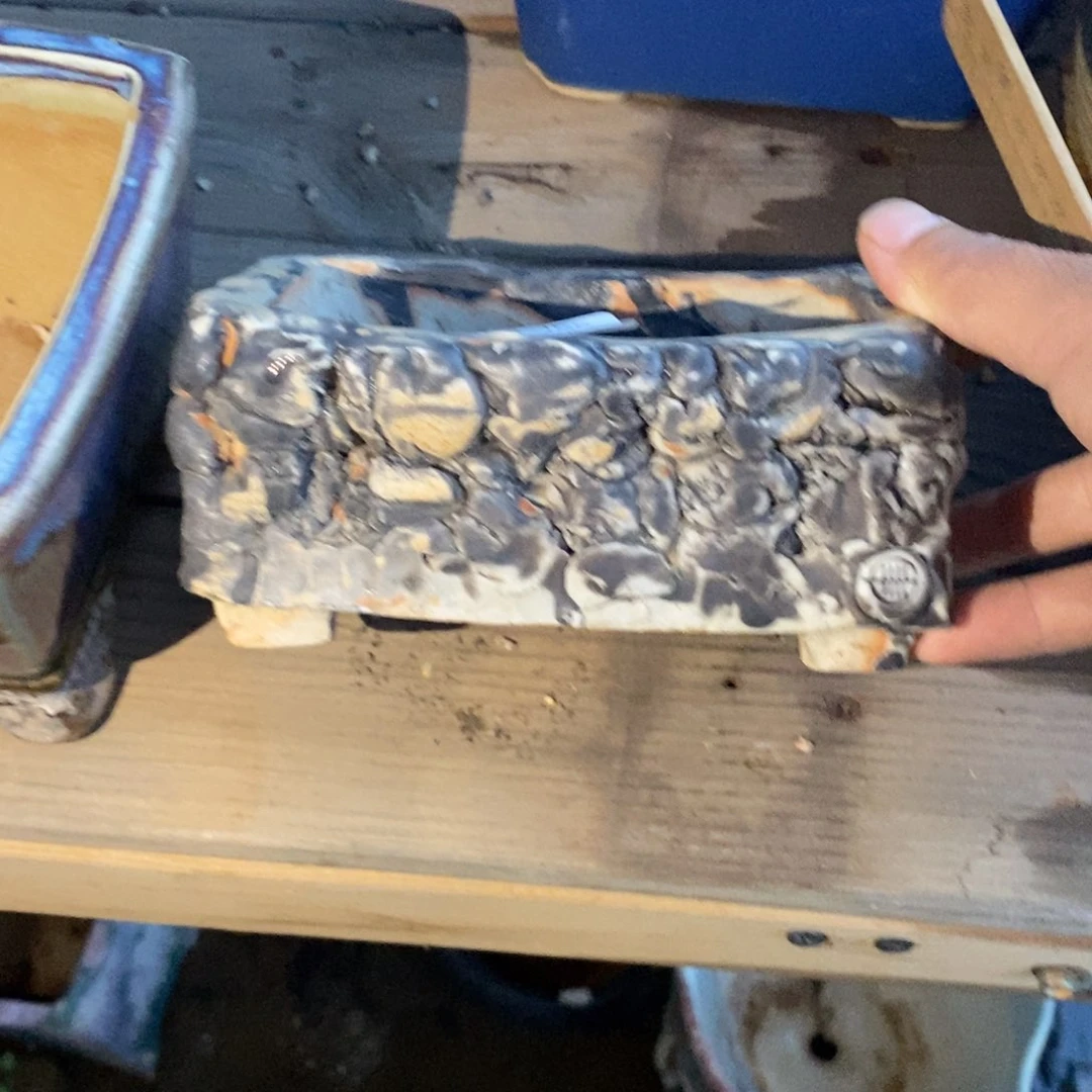 崔***崔165号多肉盆口径12