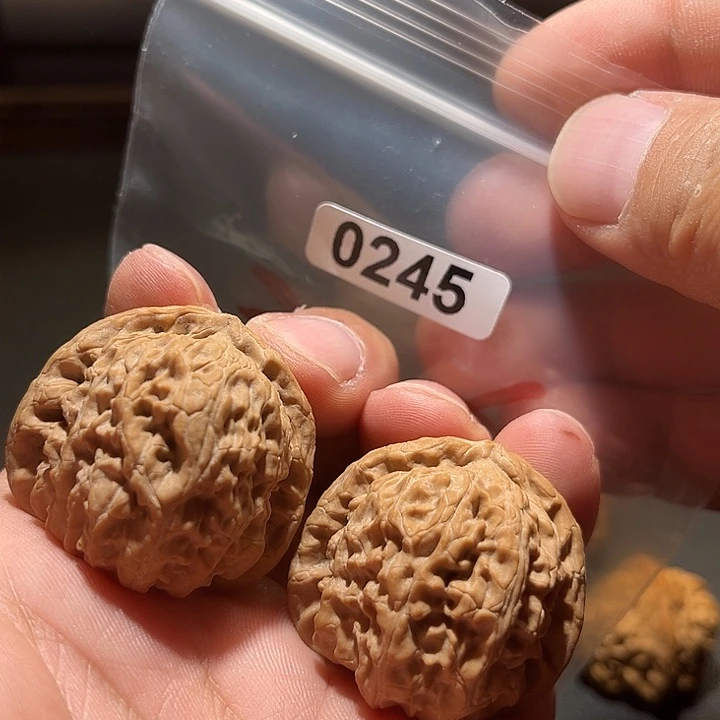 文玩核桃把件36全品白狮子