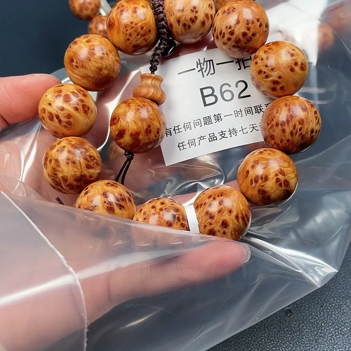 柏木（崖柏）其他天*62