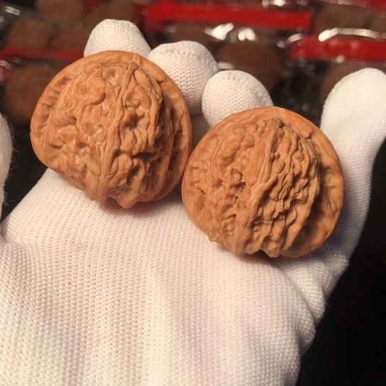 文玩核桃把件白狮子39