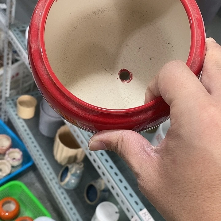 花盆抢购清货马上开始