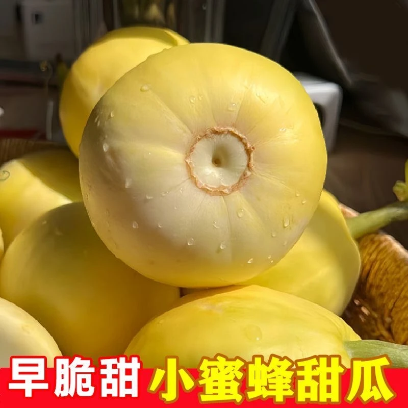 【顺丰包邮】山东金乡特产头茬早甜脆小蜂蜜甜瓜新鲜应季水果 香瓜