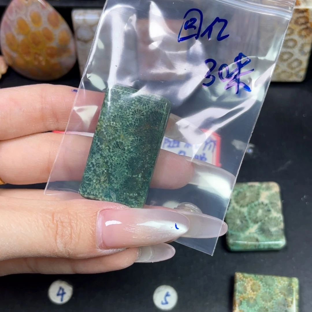 硅化珊瑚（珊瑚玉）未镶嵌吊坠