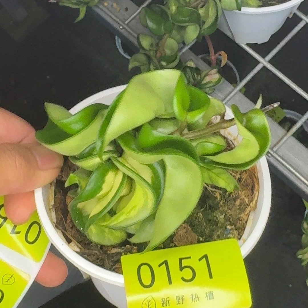 周***外完全开放0141卷内