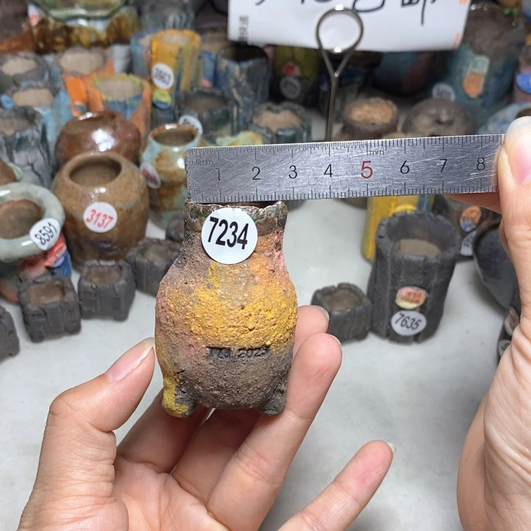 拍3送一个小礼物