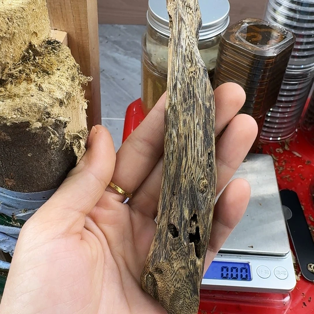 香料绿奇楠虫漏张勺子14克