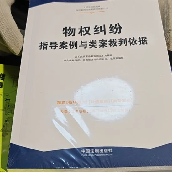 物权纠纷平装库存书