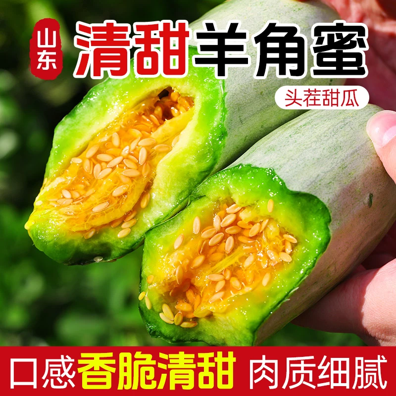 山东羊角蜜甜瓜 应季鲜果3-4.5斤 气柱装脆甜多汁现摘现发