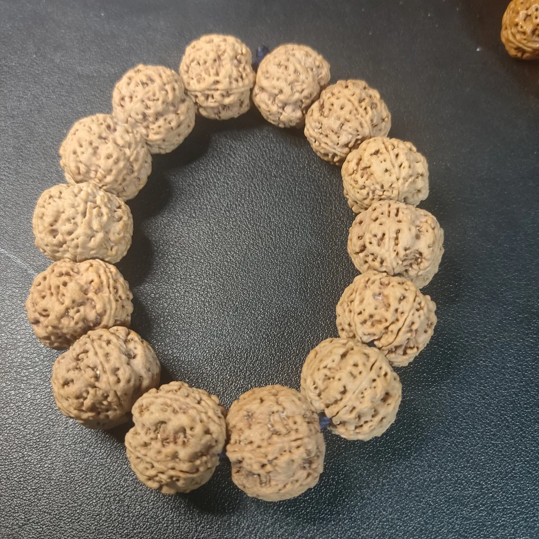 巨肉23尺大金刚蜂窝双龙