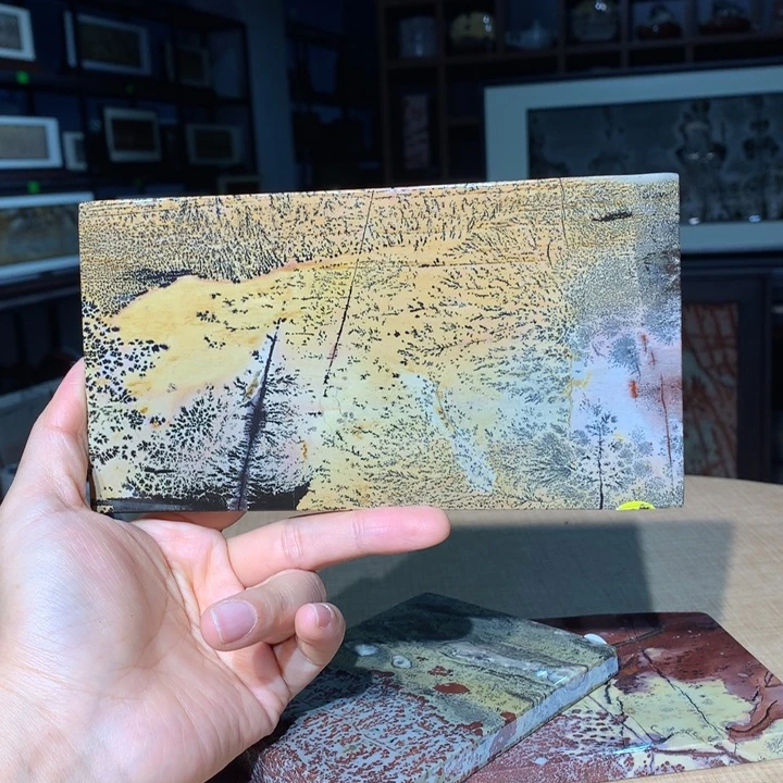 清***来广西国画石摆件，观赏收藏