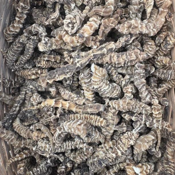 云南土特产 地-参 来自云南农家下山货特产干货